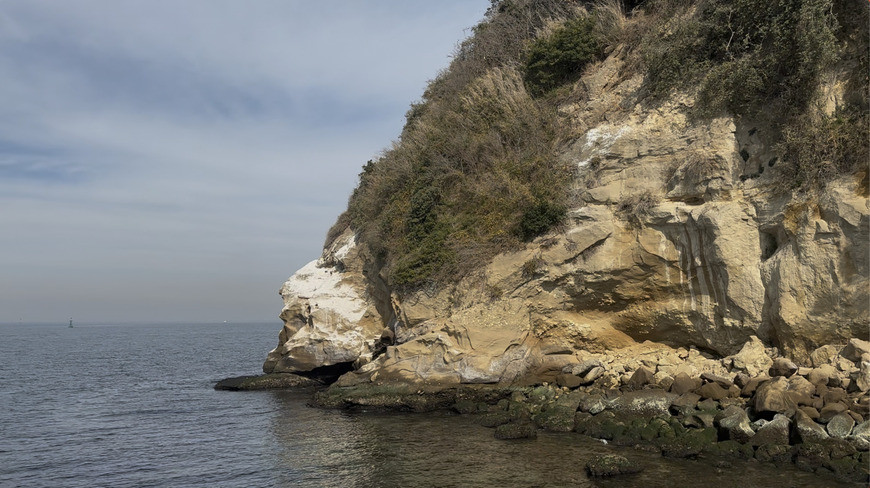 スクリーンショット 2026-02-26 17.40.02.jpg