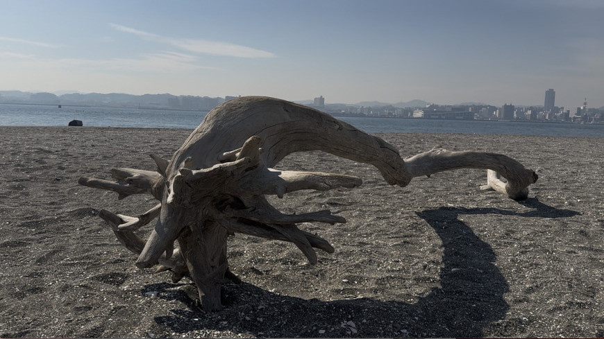 スクリーンショット 2026-02-26 17.57.17.jpg