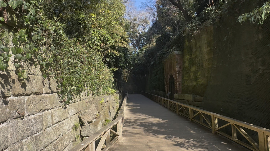 スクリーンショット 2026-02-26 17.52.02.jpg