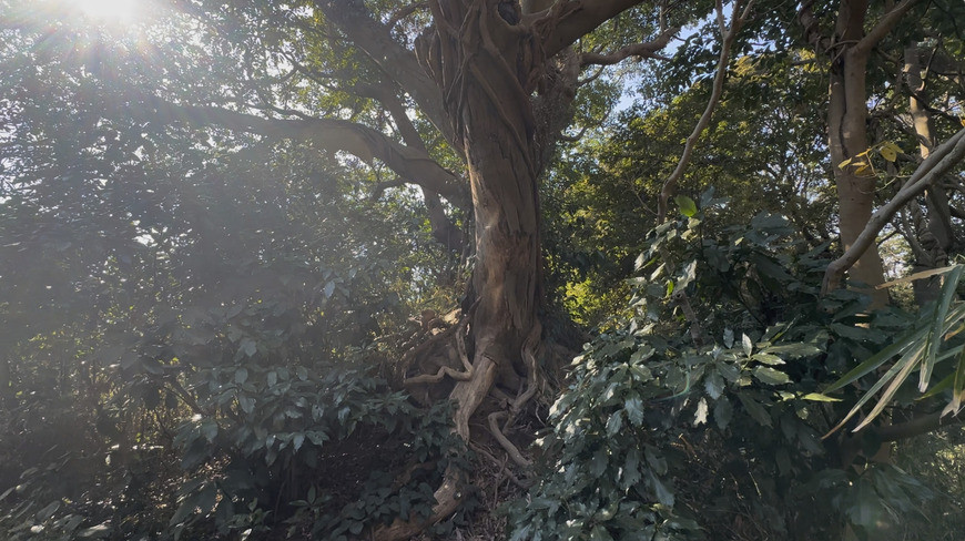 スクリーンショット 2026-03-10 14.19.11.jpg