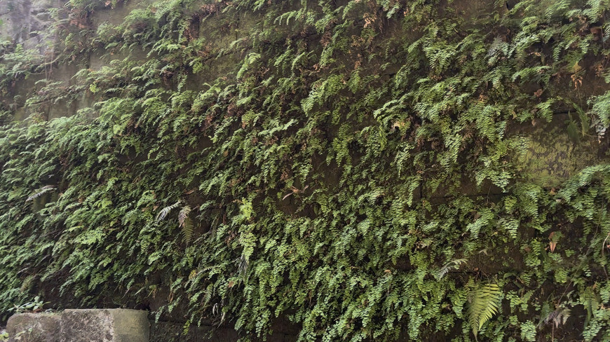 スクリーンショット 2026-03-10 14.11.00.jpg